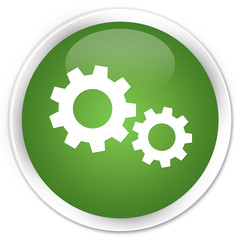 Process icon soft green glossy round button