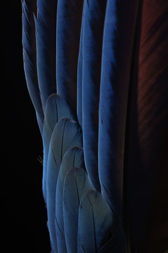 スチルライフフォト の画像 17 件の Stock 写真 ベクターおよびビデオ Adobe Stock スチルライフフォト の画像 17 件の Stock 写真 ベクターおよびビデオ Adobe Stock