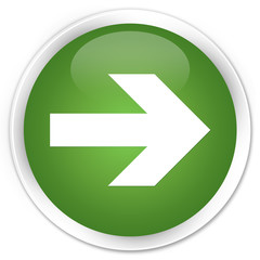 Next arrow icon soft green glossy round button