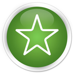 Star icon soft green glossy round button