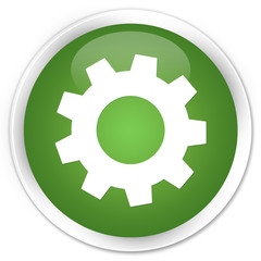 Process icon soft green glossy round button