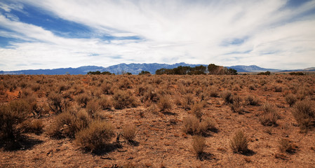 Desert landscape