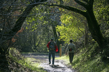 hikers on path