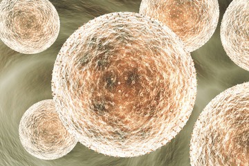 Chlamydia trachomatis 3D illustration