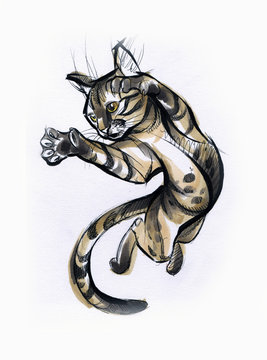 sketch of a cat jumping