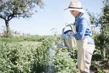 Woman watering crop in fields