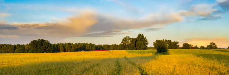 Spring fields