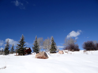Snow bound cabin in winter landscape - obrazy, fototapety, plakaty