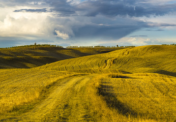 wonderful autumn landscape of Tuscan fields,on the background dangerous storm clouds
