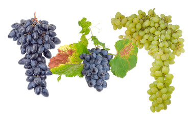 Three clusters of various table grapes on a light background