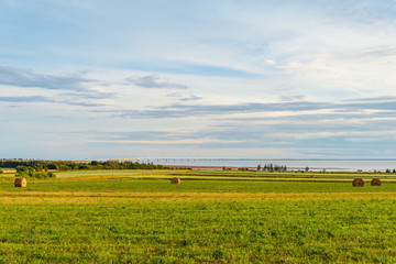 Hay bales on a farm along the ocean with the Confederation Bridg