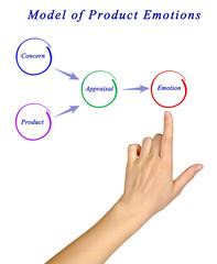 Model of Product Emotions