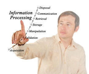 Information Processing