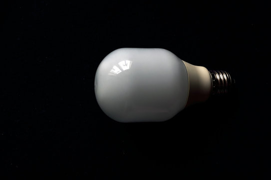 Light  Bulb