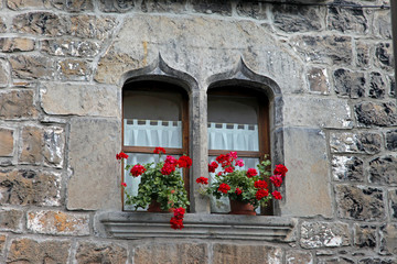 Fototapeta na wymiar flowers n gothic window