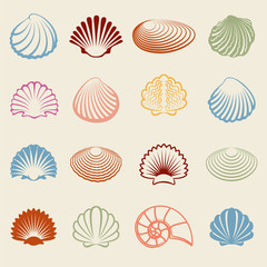 Colorful sea shells silhouettes set on white bckground. Vector illustration