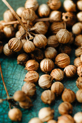 Graines de coriandre