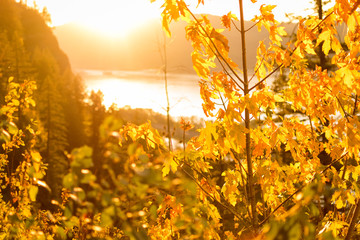 fall oregon gorge