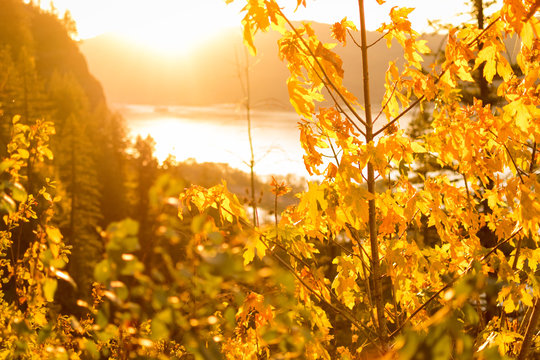 fall oregon gorge