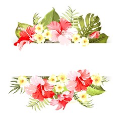 Obraz premium Tropical flower frame with place for invitation card text. Happy holiday card with floral garland. Summer holiday invitation card with floral garland with text place. Vector illustration.