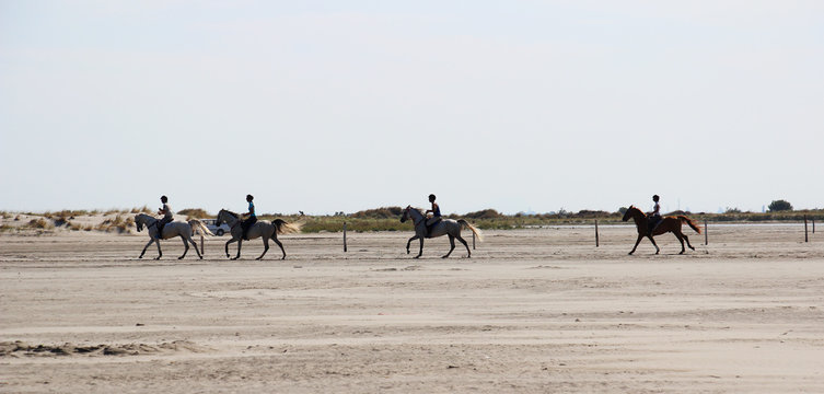 Cavaliers &agrave; cheval en Camargue sur la plage au coucher du soleil