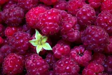 Ripe and beautiful raspberries - texture