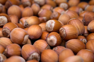 Many peeled hazel nuts - background of nature