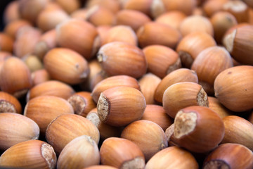 Many peeled hazel nuts - background of nature