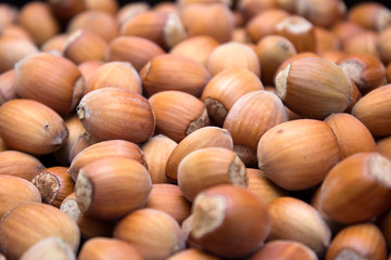 Many peeled hazel nuts - background of nature