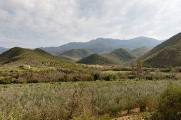Obraz premium Green orchard view with mountains and moody clouds