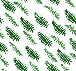 Fototapeta na wymiar green fern silhouette seamless background