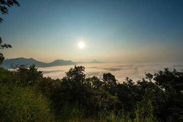 The sea of fog with forests as foreground. The sea of mist with