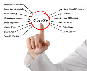 Obesity - Causes and Effects