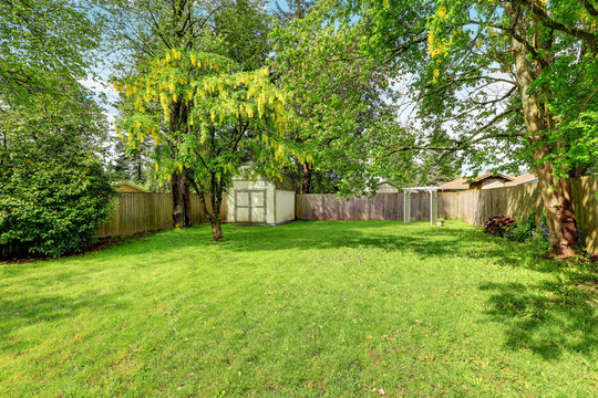 Green grass and a shed in empty fenced back yard