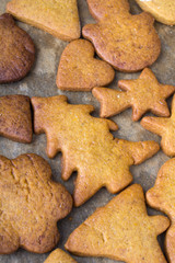  Christmas gingerbread cookies on  baking paper