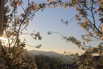 весна стучит в окно