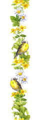Fototapety  Ptaki, kwiaty polne, zioła. Wiosna akwarela. Bezszwowy pasek graniczny