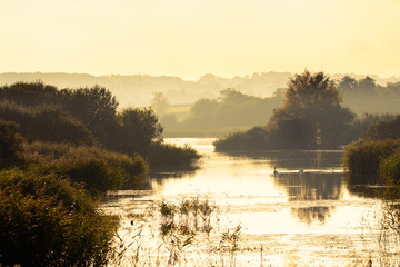 Noah's lake at Shapwick Heath National Nature Reserve. Swans on lake at Avalon Marshes wetland, in...