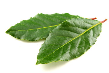 bay leaves isolated on a white background