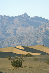 Naklejka premium dunes n mtns