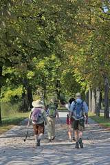 Fototapeta premium hiking in motovun