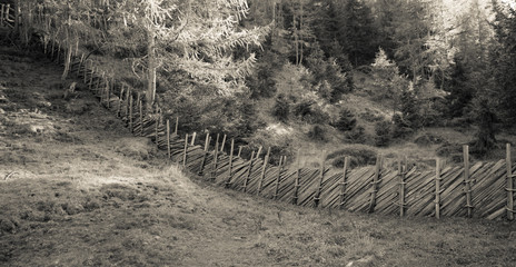 Fence inside a typical forest of the Italian Alps (vintage effect)