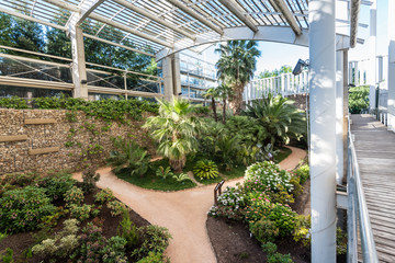 an exotic species garden at an open public park in Madrid, Spain. Placed at a specifically designed ecologic greenhouse named 