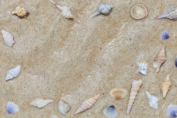 Fototapeta na wymiar Beautiful Seashells on sand Summer beach background