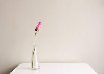 Single pink rose in small glass vase on white table against neutral background