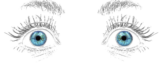 visual system: blue eyes