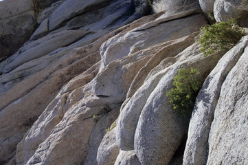 Fototapeta na wymiar joshua rocks