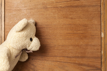 Teddy bear on old wood background.