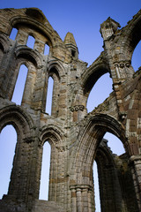 Imposing Gothic Ruins