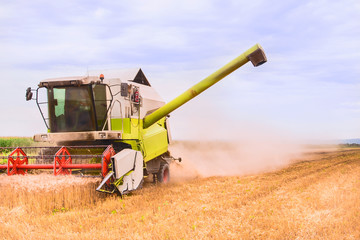 Fototapeta na wymiar combine harvester works on wheat field